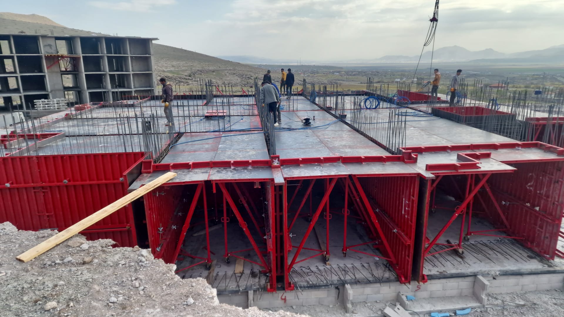 مشروع العفن