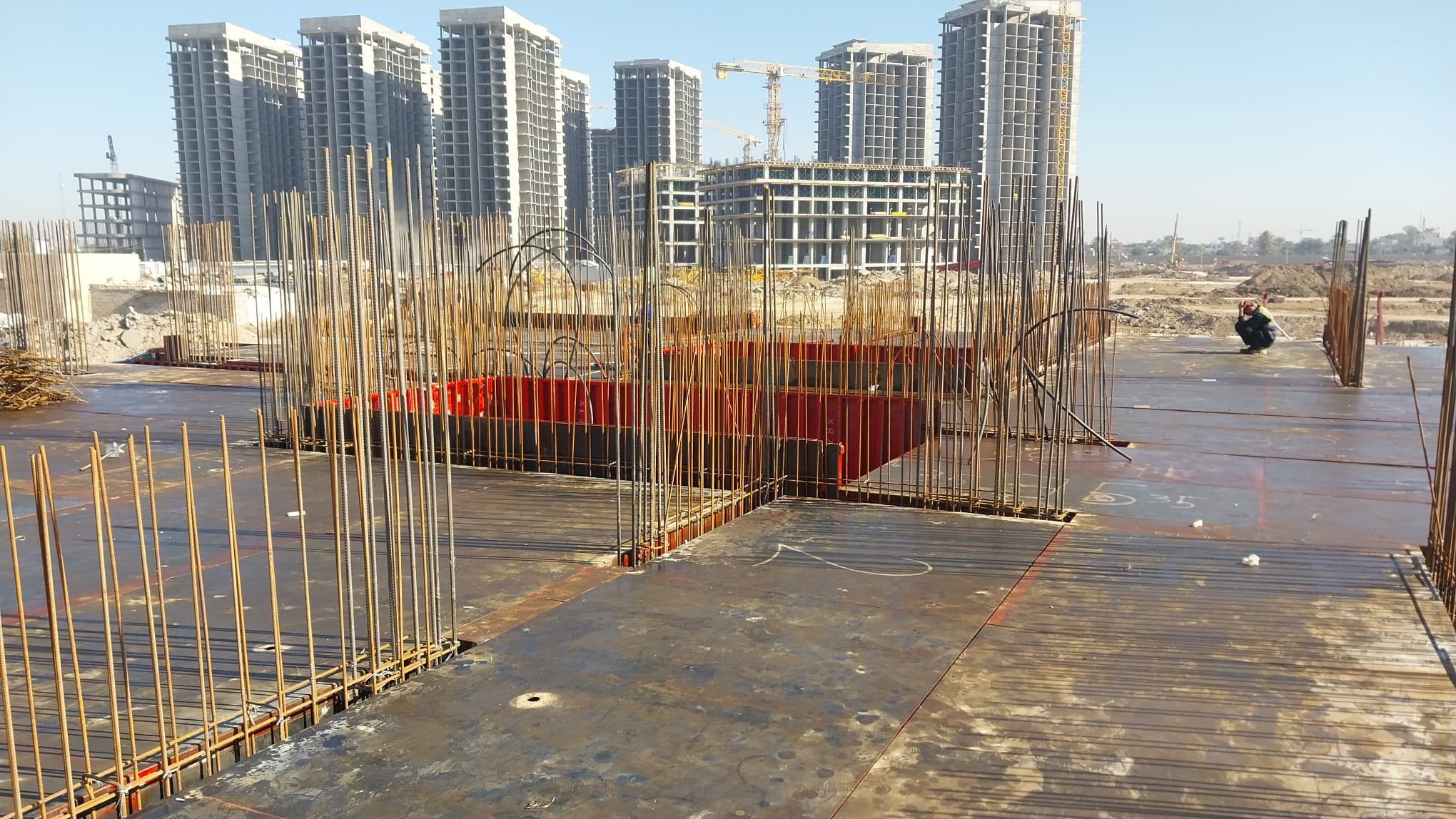 مشروع العفن