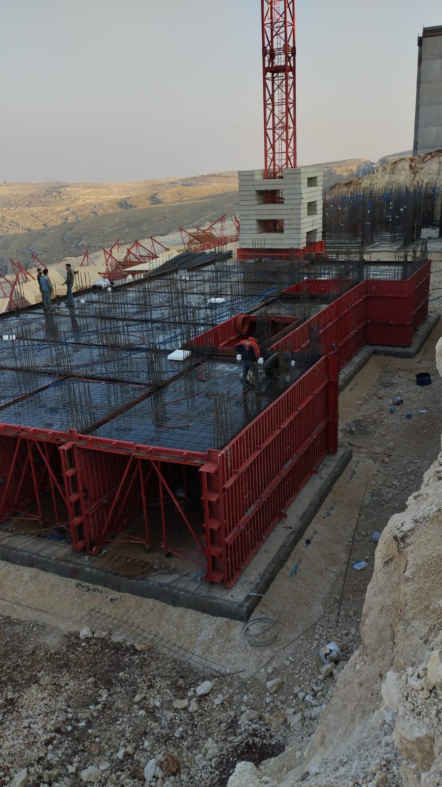 مشروع العفن