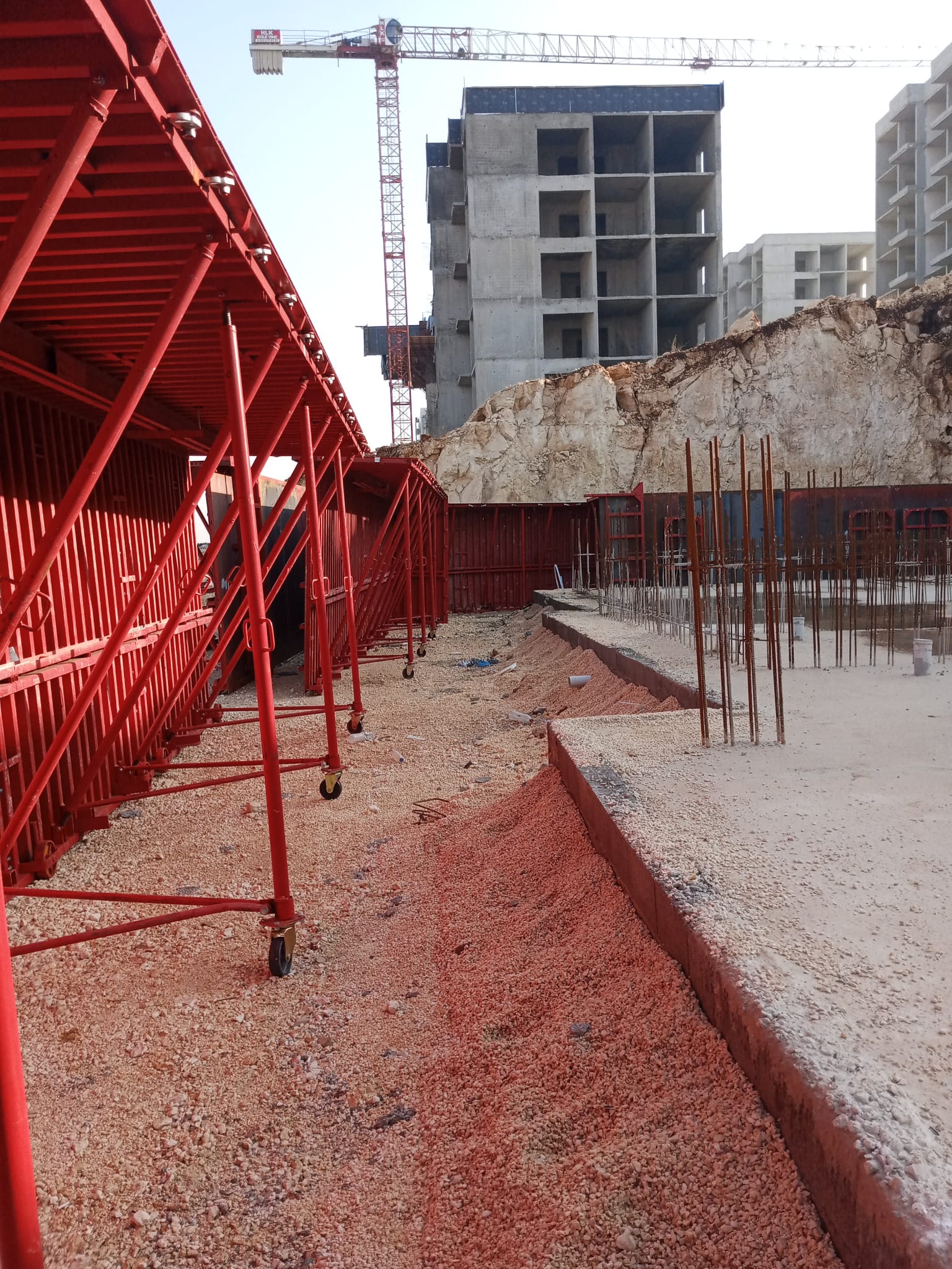 مشروع العفن