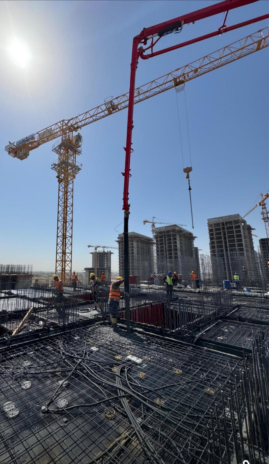 مشروع العفن