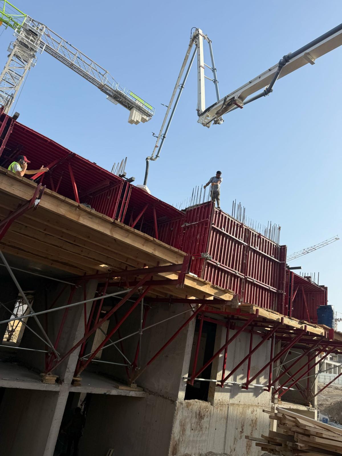 مشروع العفن