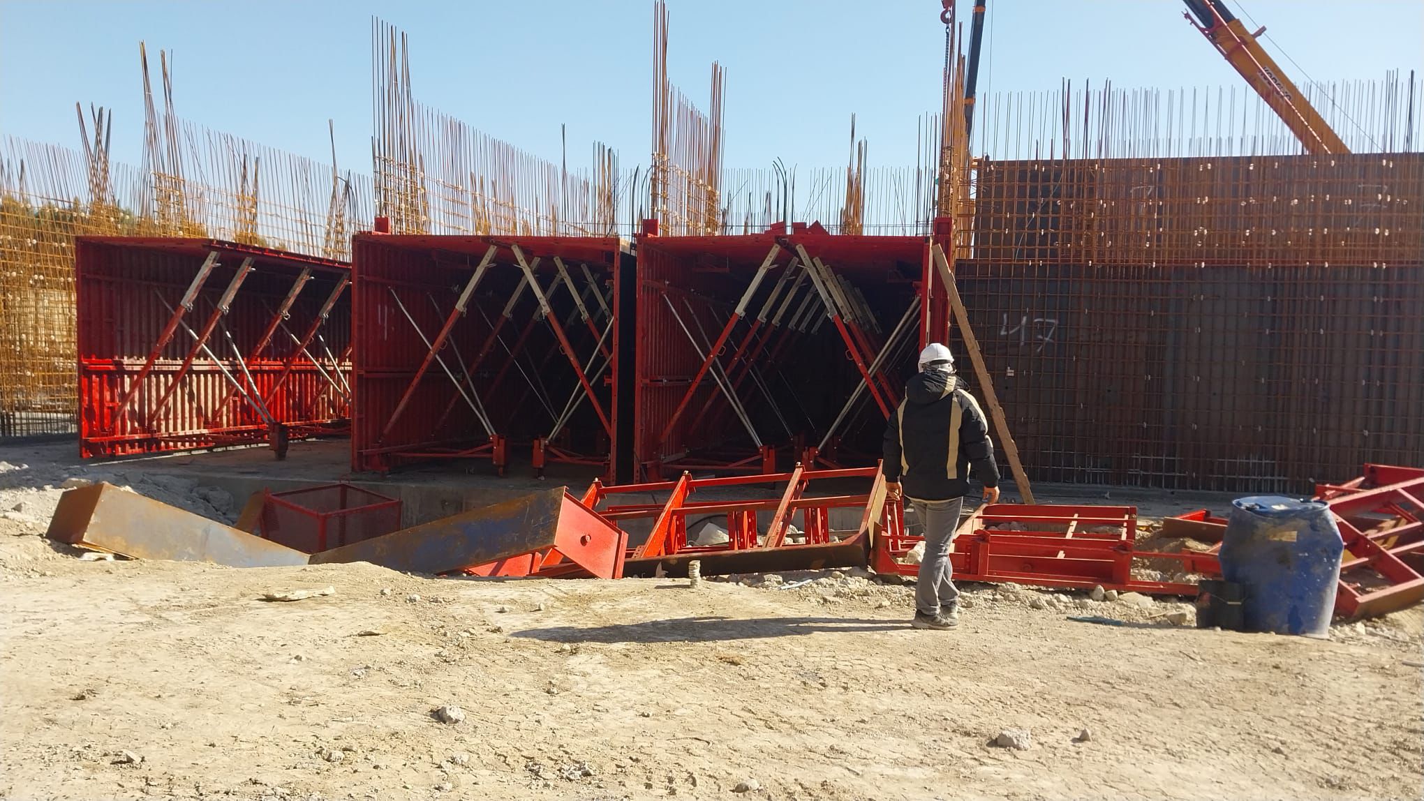 مشروع العفن