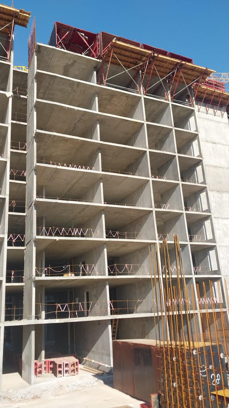 مشروع العفن